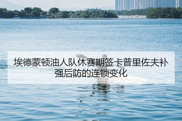 埃德蒙顿油人队休赛期签卡普里佐夫补强后防的连锁变化